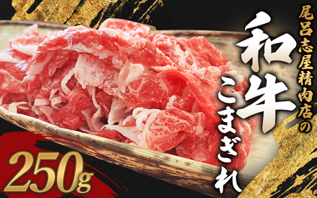 尾呂志屋精肉店の和牛こまぎれ 250g 【1か月以内に順次発送】 /  和牛 こまぎれ 小間切れ 牛肉 牛 精肉 【ors001】