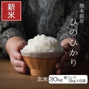 【先行予約】 令和6年産 ひのひかり 極パック 玄米 30kg（5kg×6袋） | 熊本県 熊本 くまもと 和水町 なごみ ひのひかり 玄米 米 5kg 6袋 30kg 小分け 単一原料米 極パック 長持ち