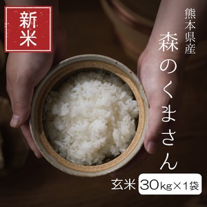 【先行予約】 令和6年産 森のくまさん 玄米30kg（30kg×1袋） | 熊本県 熊本 くまもと 和水町 なごみ 森のくまさん 玄米 米 30kg 大容量 単一原料米