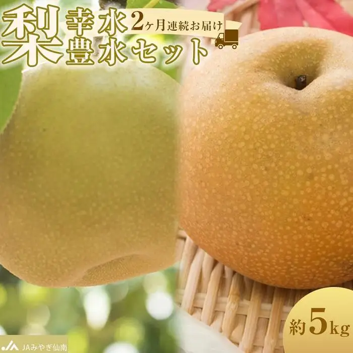 【JAみやぎ仙南】梨「幸水」「豊水」セット 約5kg　2ヶ月連続お届け【旬のフルーツ 角田のなし くだもの 果物 旬のなし 新鮮梨 梨 幸水なし 豊水なし】
