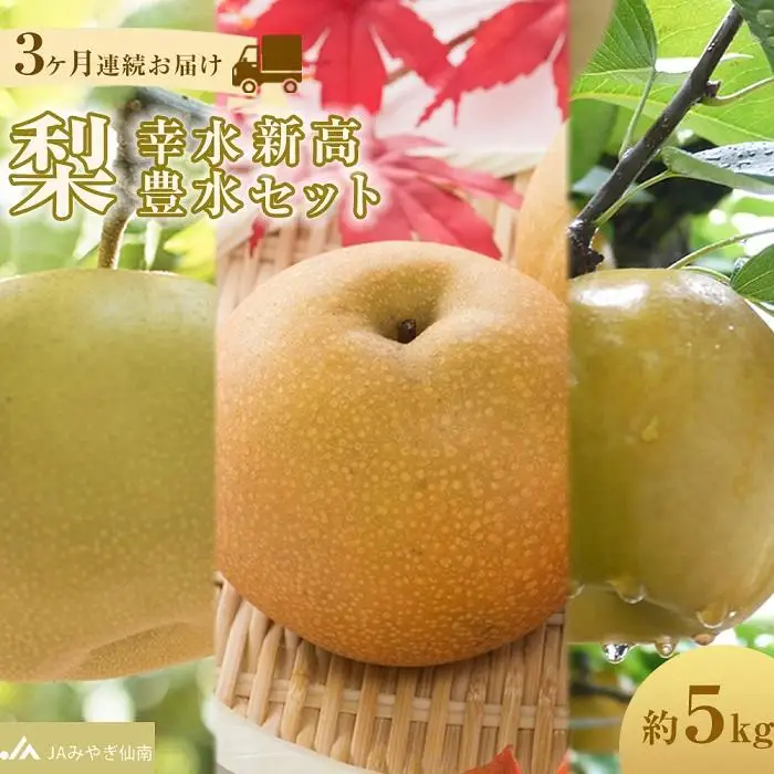 【JAみやぎ仙南】梨「幸水」「豊水」「新高」セット 約5kg　3ヶ月連続お届け【旬のフルーツ、果物、旬のなし、新鮮梨、梨、幸水なし、豊水なし、新高なし】