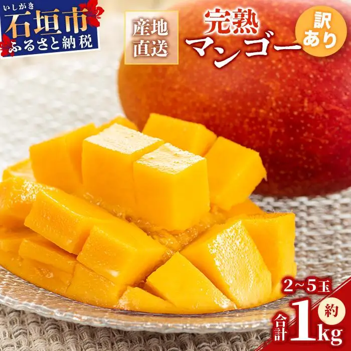【訳あり】 完熟 マンゴー (約1～1.2kg 2～5個) KP-013