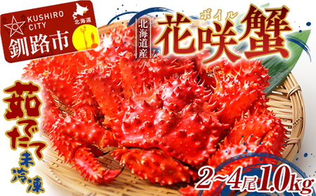 【茹でたて未冷凍】北海道産・ボイル花咲蟹2尾で1.0～1.2kg かに カニ 花咲ガニ 釧路 海鮮 F4F-4789
