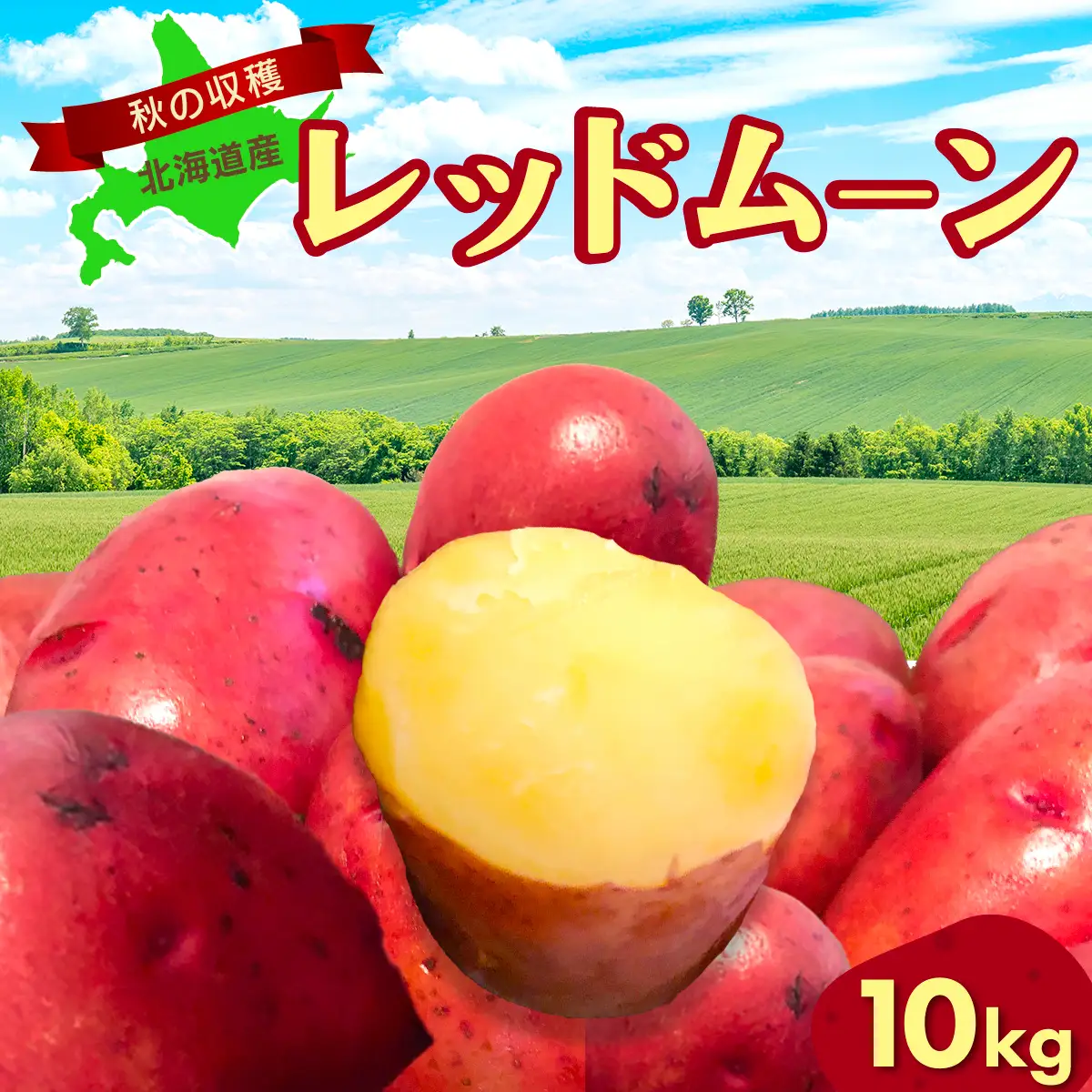【先行予約】秋の収穫美味レッドムーンじゃがいも 10kg（2026年9月15日以降発送） ABAO071