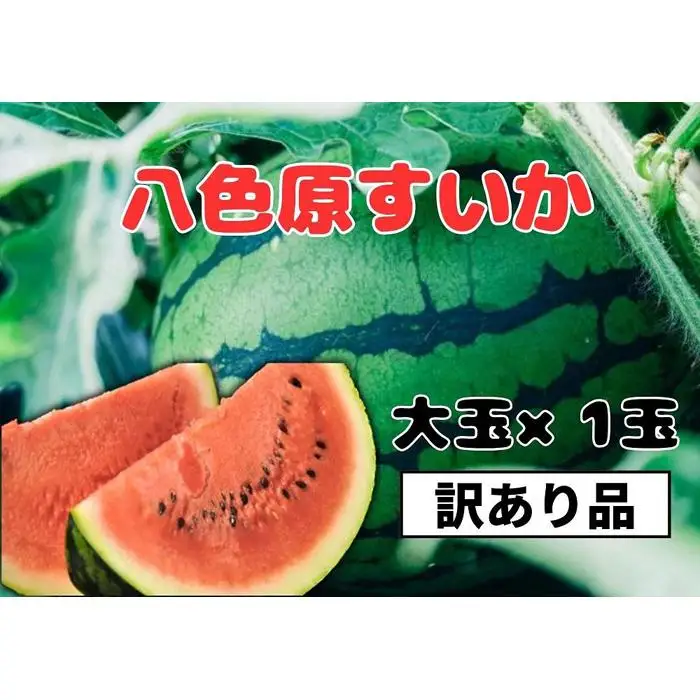 先行予約【わけあり品】八色原すいか大玉１玉 | すいか