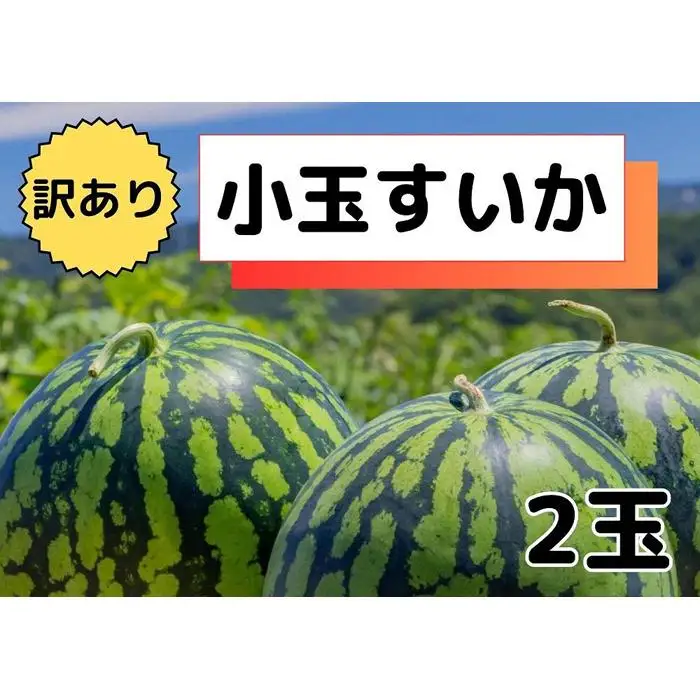 先行予約【わけあり品】八色原すいか小玉２玉 | すいか
