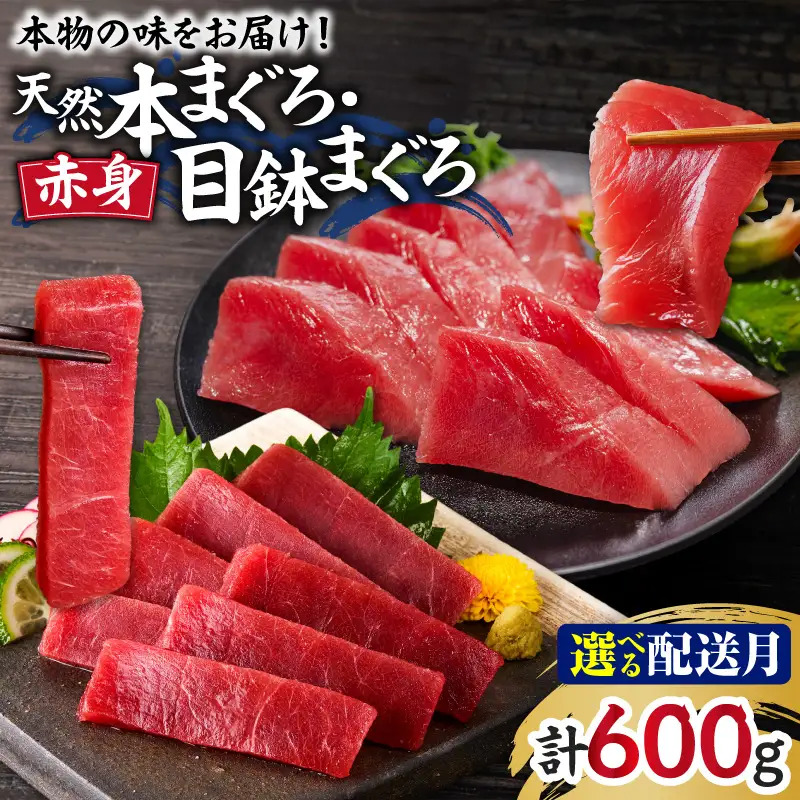 ＜選べる配送月＞ 本物 の 味 を お届け ！ 天然まぐろ 赤身づくし お刺身 セット【 本まぐろ赤身 2柵 ・目鉢まぐろ赤身2 柵 】 M005-040 冷凍 マグロ