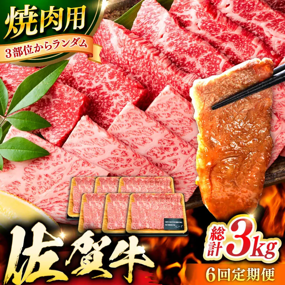 【6回定期便】佐賀牛 焼肉用 計3kg (500g×6回)  ※バラ・肩ロース・モモのいずれかの部位※しゃぶしゃぶ すきやき[FDB034]