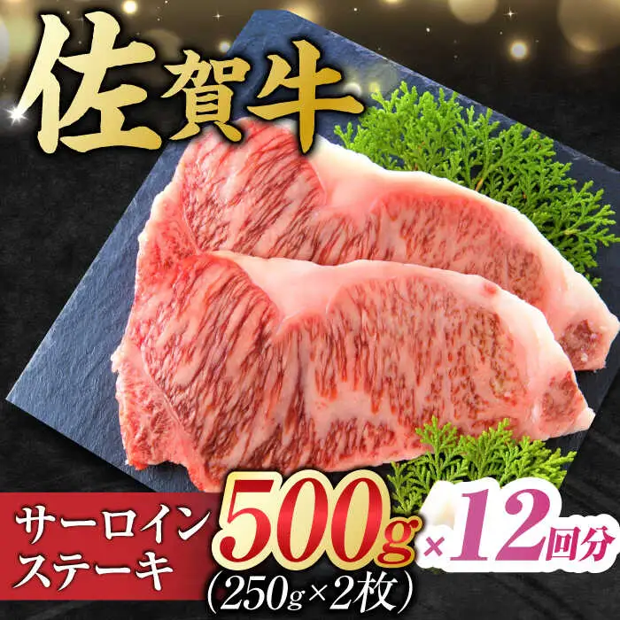 【12回定期便】佐賀牛 サーロインステーキ 計6kg (250g×2枚×12回) すてーき 黒毛和牛[FDB041]