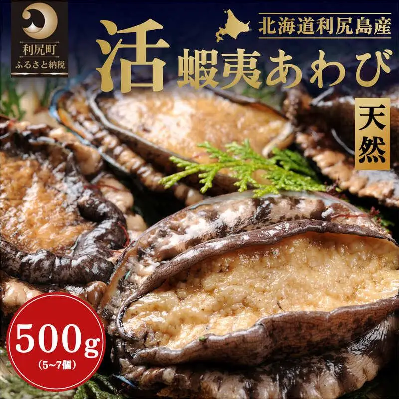 【2026年発送受付】活アワビ500g（5～7個） 天然蝦夷アワビ北海道利尻島産【10月下旬～12月下旬発送】