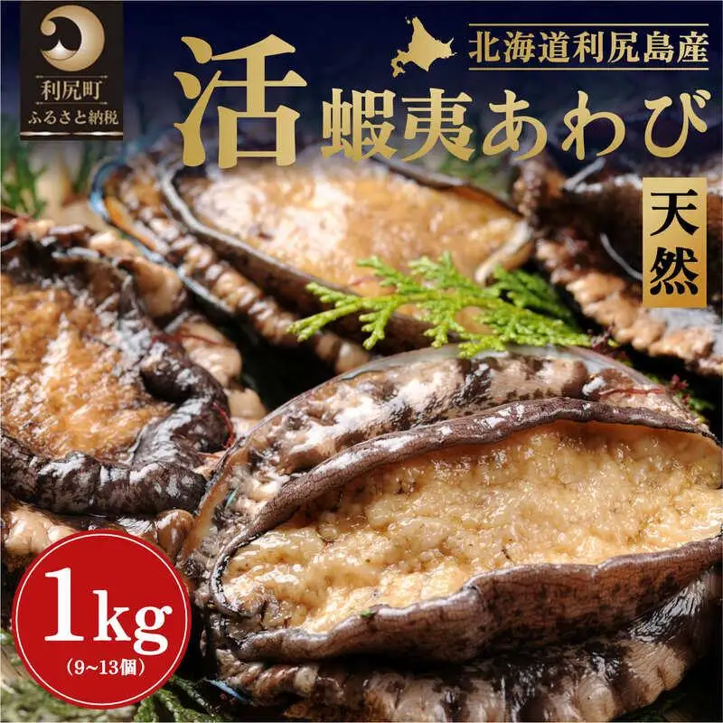 【2026年発送受付】活アワビ1kg（9～13個） 天然蝦夷アワビ 北海道利尻島産【10月下旬～12月下旬発送】