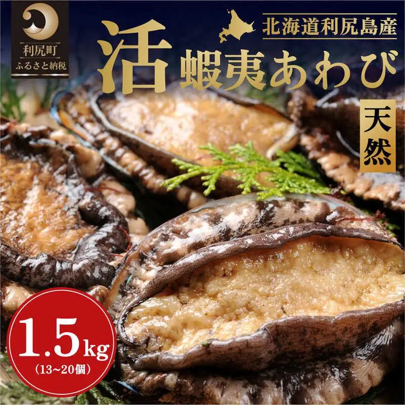 【2026年発送受付】活アワビ1.5kg（13～20個） 天然蝦夷アワビ 北海道利尻島産【10月下旬～12月下旬発送】