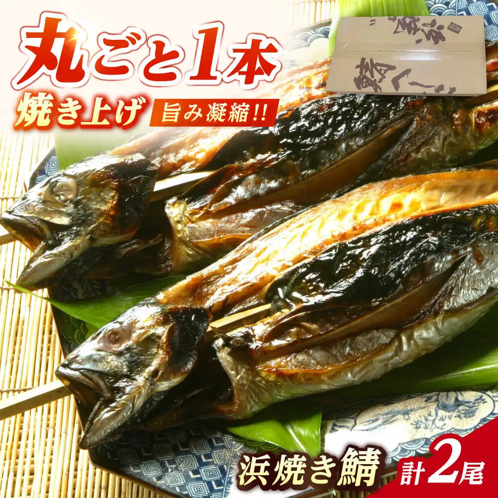 浜焼き鯖 400g  2尾 【配送不可地域：離島】 小浜市 / 朽木屋 [BFCM003] 