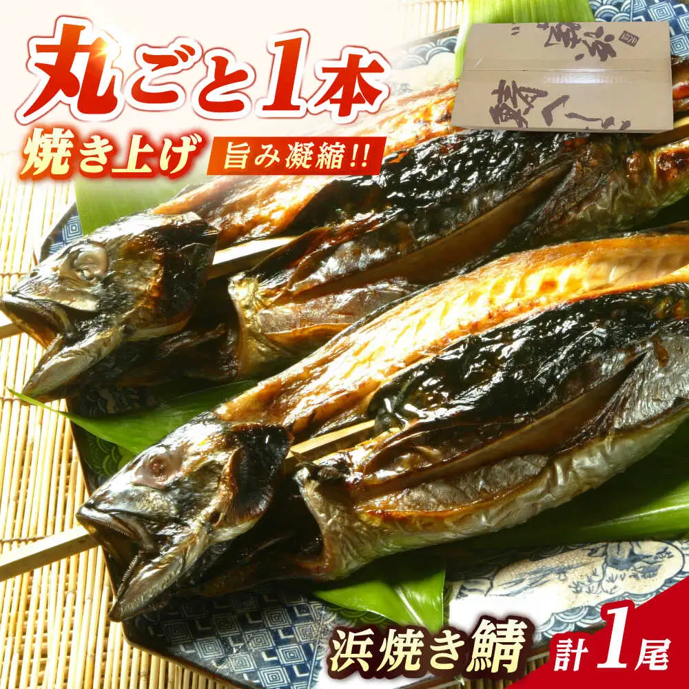 浜焼き鯖 400g  1尾 【配送不可地域：離島】 小浜市 / 朽木屋 [BFCM004] 
