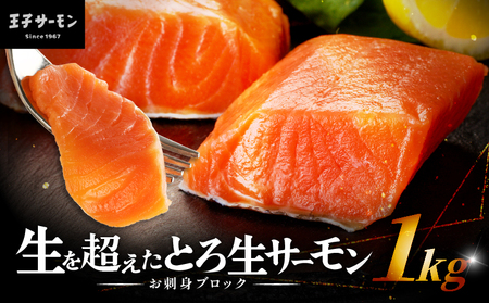 【 王子サーモン 】 生を超えた 「 とろ生サーモン 」 お刺身 用 ブロック 1kg T041-009 魚 魚介類