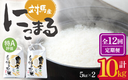 【全12回定期便】 特A 対馬産 にこまる 5kg×2「ほたる舞う三根川の米」  米 お米 ご飯 ごはん 白米 10kg 10キロ 産地直送 贈答用 特A 定期便 [WAJ014]