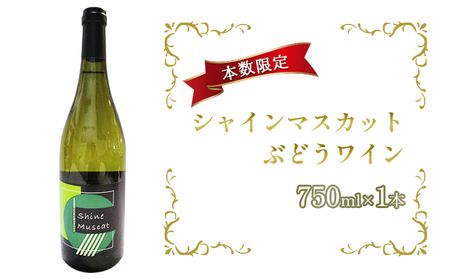 白ワインシャインマスカット白ワイン【750ml×1本】