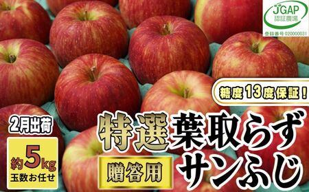 りんごサンふじ贈答用葉取らず特選青森県産りんご【約5kg】