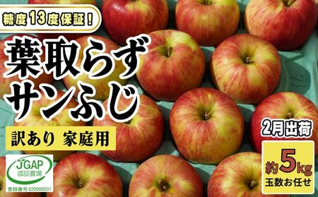 りんごサンふじ 訳あり家庭用 葉取らず青森県産りんご【約5kg】