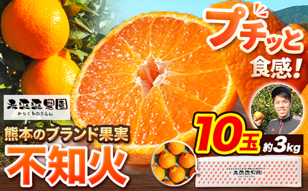 不知火 贈答用 約3kg 未来来農園 不知火
