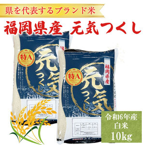 【ふるさと納税】令和8年産 福岡県産 ブランド米「元気つくし」白米 10kg [a6257] 株式会社 ゼロプラス 【返礼品】添田町 ふるさと納税