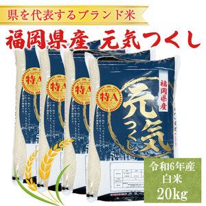 【ふるさと納税】令和8年産 福岡県産 ブランド米「元気つくし」白米 20kg [a6259] 株式会社 ゼロプラス 【返礼品】添田町 ふるさと納税