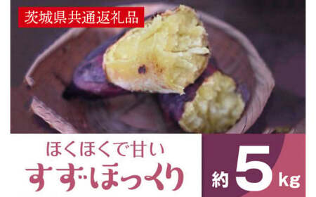 2025年度産 ホクホクで甘いさつまいも すずほっくり5kg【茨城県共通返礼品/行方市】【さつまいも サツマイモ 芋 お芋 甘い ホクホク 美味しい 大量 茨城県 北茨城市】(AK205)