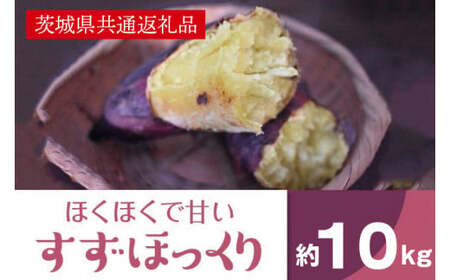 2025年度産 ホクホクで甘いさつまいも すずほっくり10kg【茨城県共通返礼品/行方市】【さつまいも サツマイモ 芋 お芋 甘い ホクホク 美味しい 大量 茨城県 北茨城市】(AK206)
