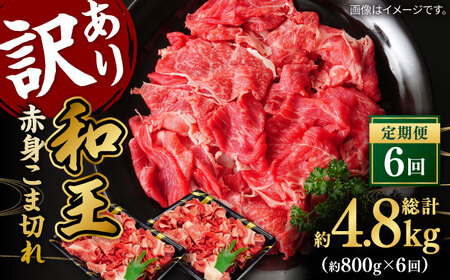【全6回定期便】【訳あり】 和王 くまもと黒毛和牛 赤身 こま切れ 800g【株式会社ワンエイト】 黒毛和牛 和牛こま切れ 小間切れ コマ切れ [ZDA004]