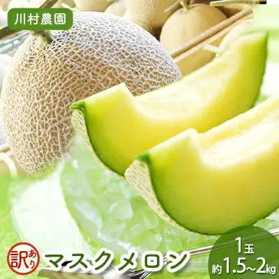 【静岡・三保松原の甘い誘惑マスクメロン】訳ありでも甘い！マスクメロン 1玉（約1.5kg～2kgサイズ）■