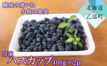 北海道の冷凍果実ハスカップ 天然の甘酸っぱさをそのままお届け 【山科農園 冷凍ハスカップ：400ｇ×2パック】＜ 北海道 ハスカップ 摘み立て冷凍 手摘み 使い方色々 抗酸化 ミラクルフルーツ ＞