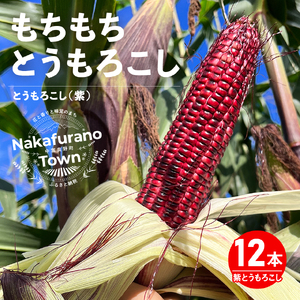 【2026年発送】もちもちトウモロコシ紫　12本　中富良野産【AW-010】