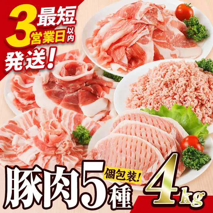  ＼3営業日以内発送／ ＜1回配送＞ 豚肉 バラエティーパック (合計4kg) 【BD325】【西日本畜産】