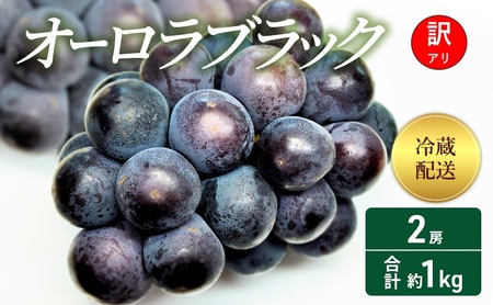 訳あり ぶどう オーロラブラック 2房 合計約1kg 岡山県 高梁市産 2026年 先行予約 冷蔵 フルーツ 葡萄 ブドウ 産地直送 大粒 爽やか 食べやすい