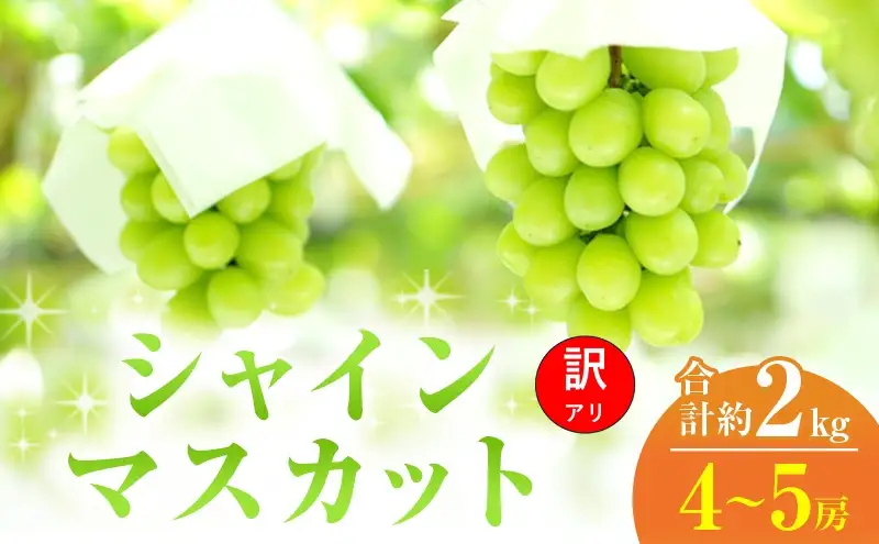 訳あり シャインマスカット 4～5房 合計約2kg 岡山県 高梁市産 2026年 先行予約 常温 ぶどう フルーツ 葡萄 ブドウ 皮ごと 産地直送 大粒 爽やか 食べやすい