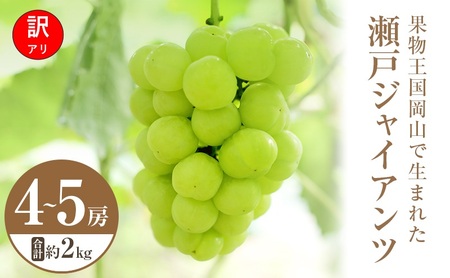 訳あり ぶどう 瀬戸ジャイアンツ 4～5房 合計約2kg 岡山県 高梁市産 2026年 先行予約 常温 フルーツ 葡萄 ブドウ 産地直送 大粒 爽やか 食べやすい