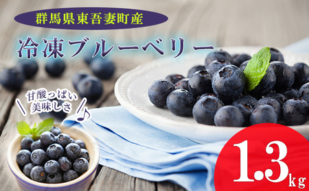 ブルーベリー冷凍完熟大粒 群馬県産 ブルーベリー【約1.3kg】【冷凍】