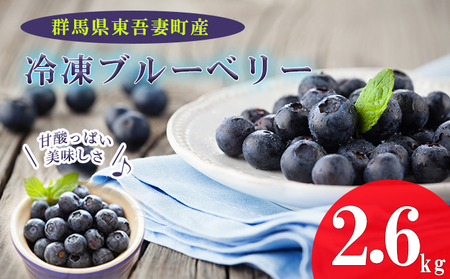 ブルーベリー冷凍完熟大粒 群馬県産 ブルーベリー【約2.6kg】【冷凍】