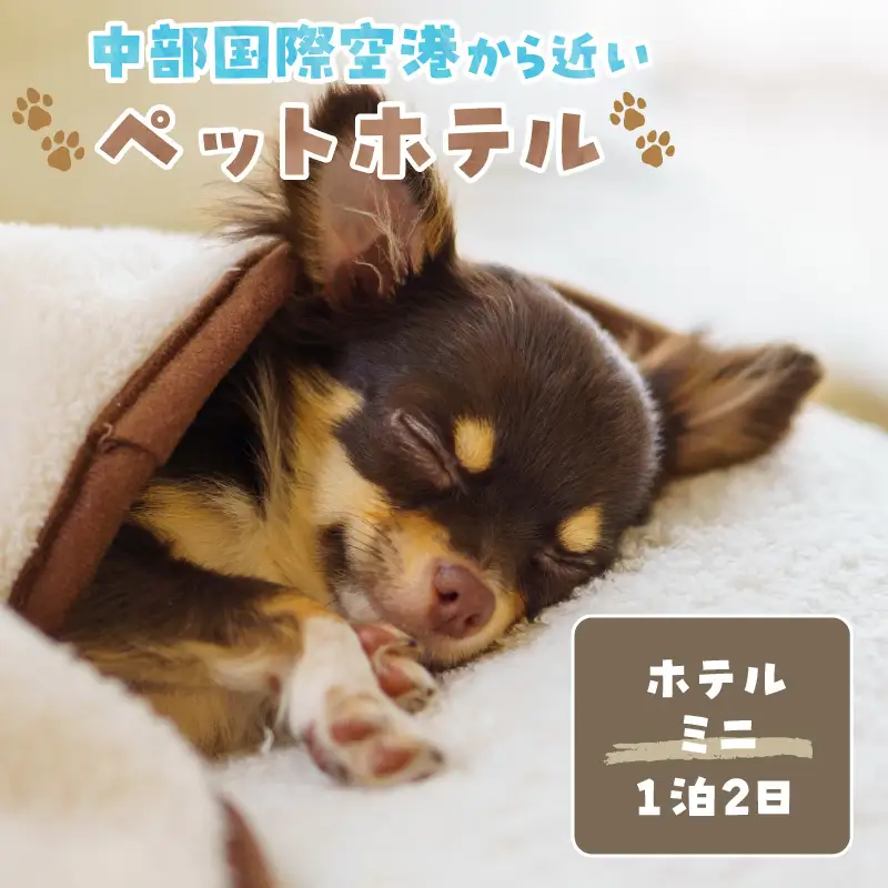 【海を一望できるドッグラン 利用チケット】ホテル ミニ1泊2日 犬 ペット ペットホテル 犬用ホテル 超小型犬 小型犬 dog わんちゃん 愛犬 イヌ 宿泊 ドッグラン 常滑市 空港に近い 飼い主 体験チケット 1頭 1泊 愛知県 常滑市