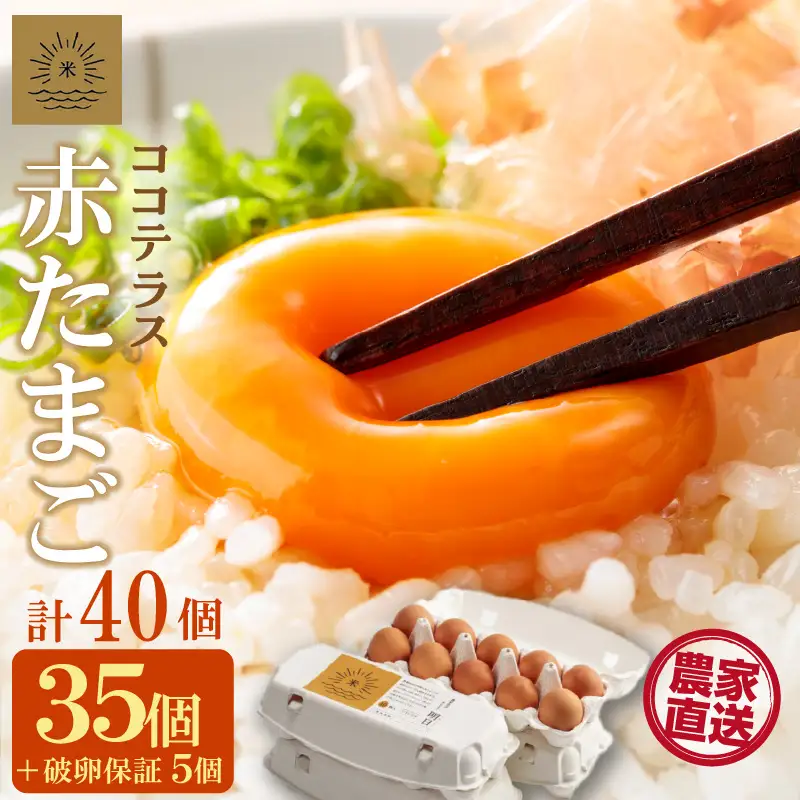 ココテラスの明日（赤たまご）35個+5個保証（計40個）【JGAP認証】 農家直送 新鮮 卵 タマゴ 赤卵 玉子 鶏卵 朝食 夕食 夜食 朝ごはん たまご焼き オムレツ 卵ご飯 料理 濃厚 飼料にこだわった 卵かけご飯 米たまご 生卵 大容量 お取り寄せ 愛知県 常滑市