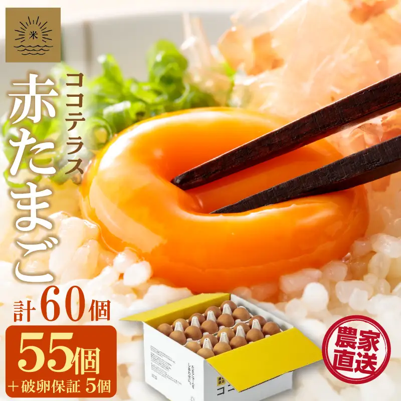 ココテラスの明日（赤たまご）55個 + 5個保証（計60個）【JGAP認証】 農家直送 新鮮 卵 タマゴ 赤卵 玉子 鶏卵 朝食 夕食 夜食 朝ごはん たまご焼き オムレツ 卵ご飯 料理 濃厚 飼料にこだわった 卵かけご飯 米たまご 生卵 大容量 お取り寄せ 愛知県 常滑市