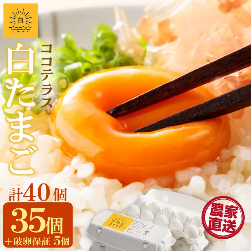 ココテラスの朝日（白たまご）35個 + 5個保証（計40個）【JGAP認証】 農家直送 新鮮 卵 タマゴ 白卵 玉子 鶏卵 朝食 夕食 夜食 朝ごはん たまご焼き だし巻き卵 オムレツ 卵ご飯 料理 濃厚 飼料にこだわった 卵かけご飯 米たまご 生卵 大容量 お取り寄せ 愛知県 常滑市
