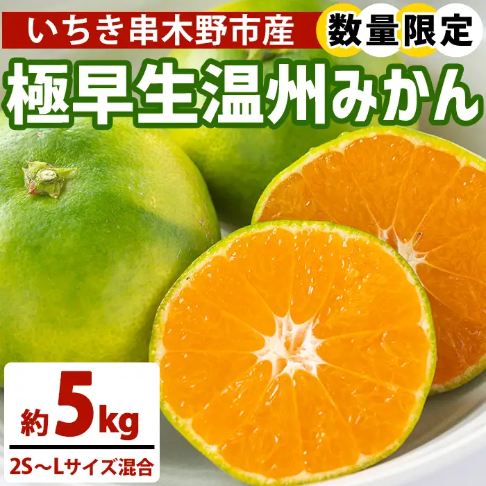＜数量・期間限定＞ 極早生 温州みかん 5kg 箱満杯バラ詰め！2S～Lサイズ 果樹【00-054-07】