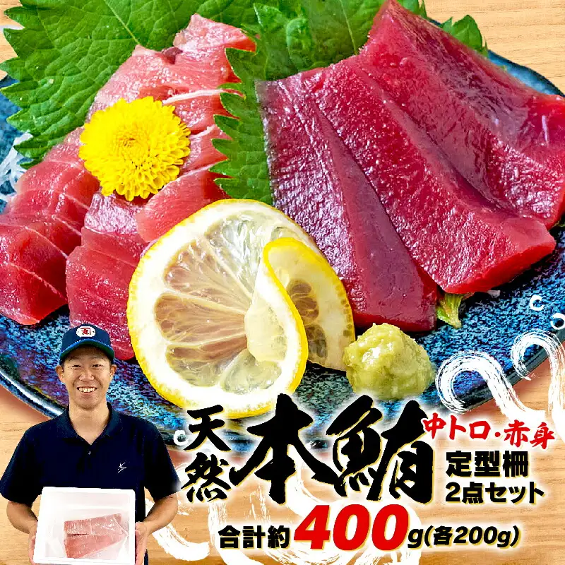 天然 本まぐろ 中とろ 赤身 詰合せ 約400g（天然マグロ 本マグロ 中とろ 赤身 食べ比べ セット まぐろ 本まぐろ マグロ丼 まぐろ丼 天然本鮪 マグロ柵 まぐろ中トロ柵 まぐろ赤身柵 漬けマグロ 漬けまぐろ マグロレシピ マグロ料理 海鮮 刺し身)