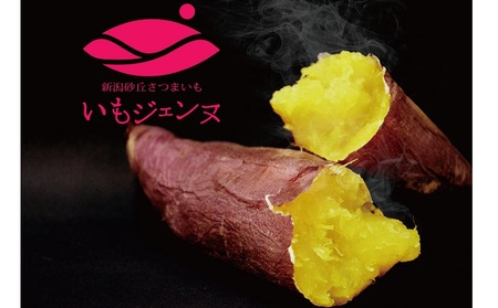 いもジェンヌ（さつまいも）540g×5袋入 さつまいも 野菜 いも 芋 焼き芋 新潟 