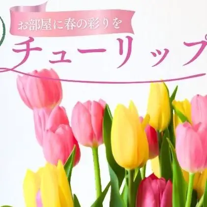 フラワーファームしろねのチューリップ切花20本（黄・ピンク　各10本） 植物 花束 