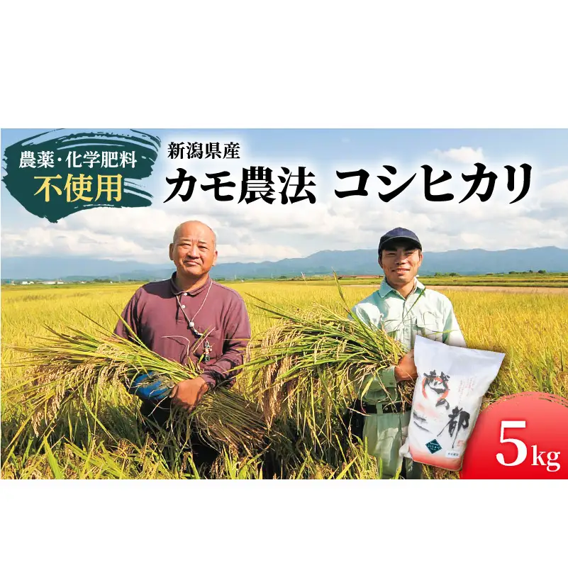 カモ農法コシヒカリ5kg 米 精米 白米 コシヒカリ 5kg こめ コメ お米 おこめ こしひかり カモ農法 農薬不使用 化学肥料不使用 新潟 新潟県 