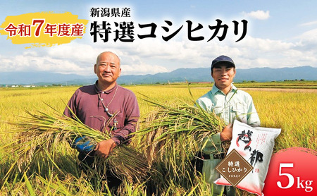 コシヒカリ 新潟県産 5㎏ 特選 越の都 米 コシヒカリ