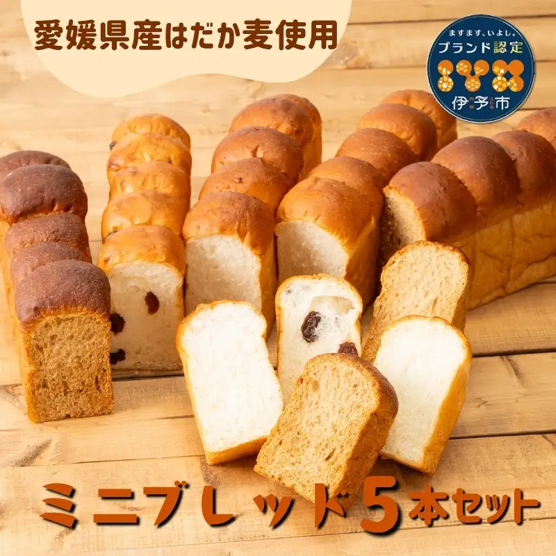 食パン 無添加 5本 六山 篠崎ベーカリー ミニサイズ 伊予市 老舗 ミニブレッド | B166