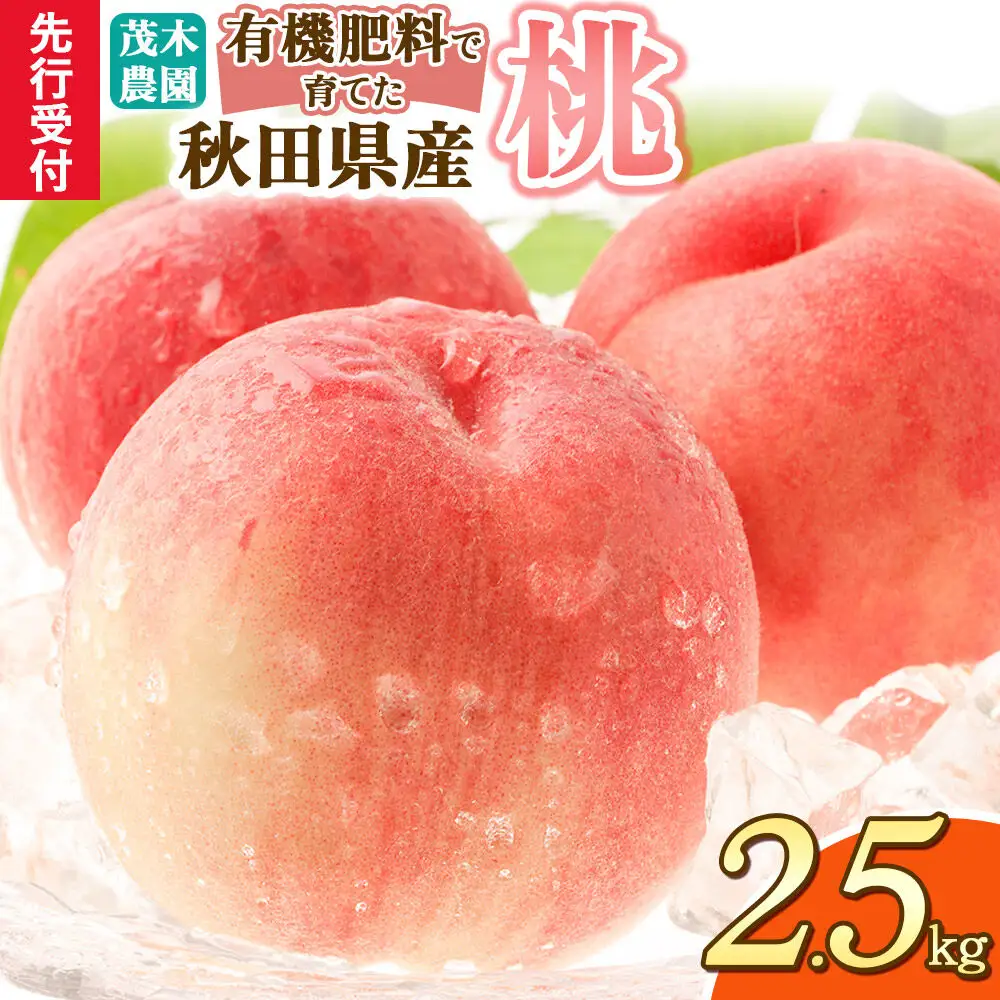 《先行受付》桃 2.5kg 茂木農園 秋田県産 